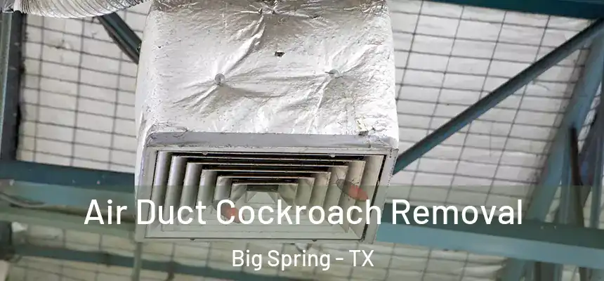  Air Duct Cockroach Removal Big Spring - TX