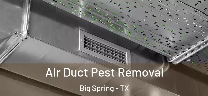 Air Duct Pest Removal Big Spring - TX