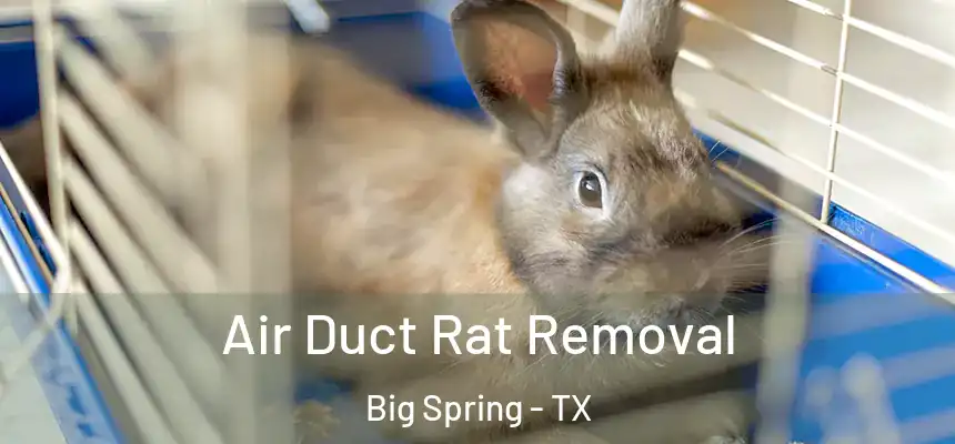  Air Duct Rat Removal Big Spring - TX