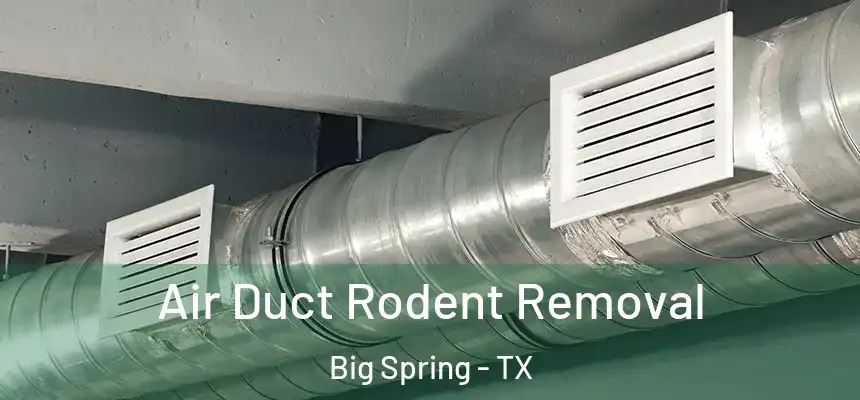 Air Duct Rodent Removal Big Spring - TX