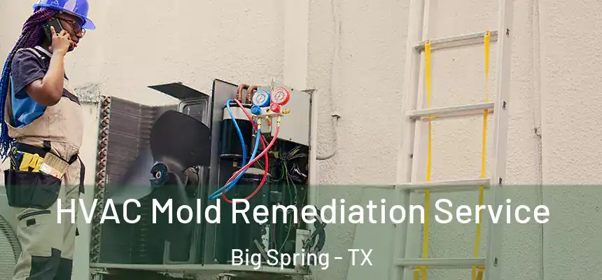 HVAC Mold Remediation Service Big Spring - TX