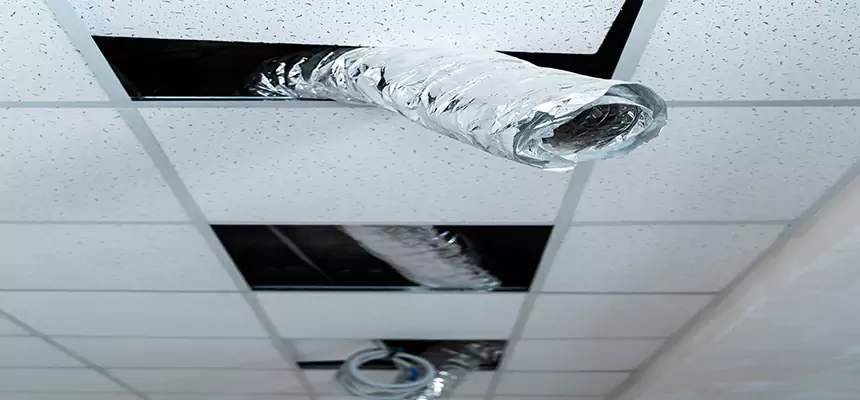 Affordable HVAC Sanitizing After Pest Removal in Big Spring