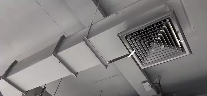 Our Pest Removal From Ducts Services in Big Spring, TX