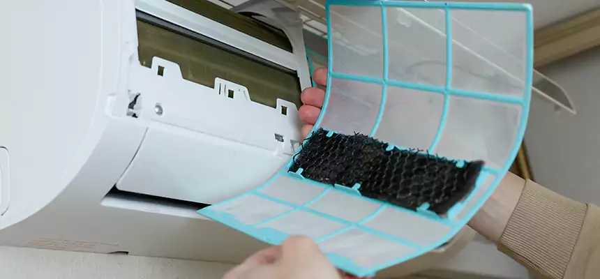 Gentle Ductwork Odor-Control Pet Dander Duct Cleaning in Big Spring, TX