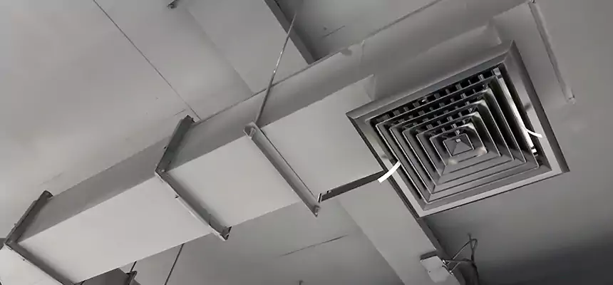 Our Rodent Droppings In Vents Services in Big Spring, TX