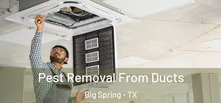  Pest Removal From Ducts Big Spring - TX