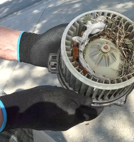 About Air Duct Rat Removal in Big Spring, TX