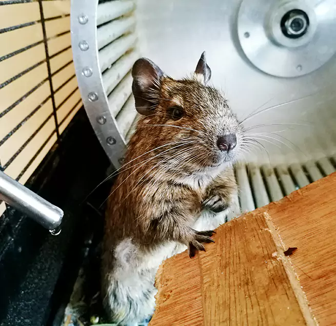 Why Homeowners & Businesses Trust Us Big Spring, TX?